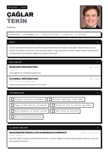 Psikolog CV Örnekleri cv indir